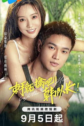 黄蜂第一季 封面图